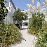 El Rincon De Lanzarote *