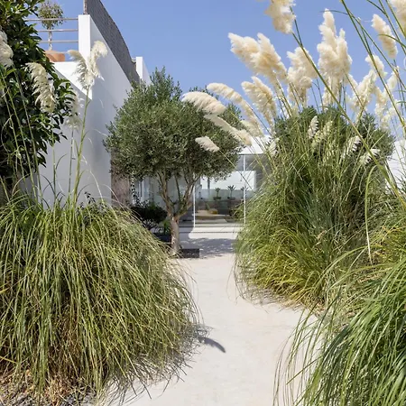 El Rincon De Lanzarote *